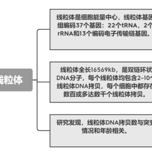 线粒体拷贝变异数检测