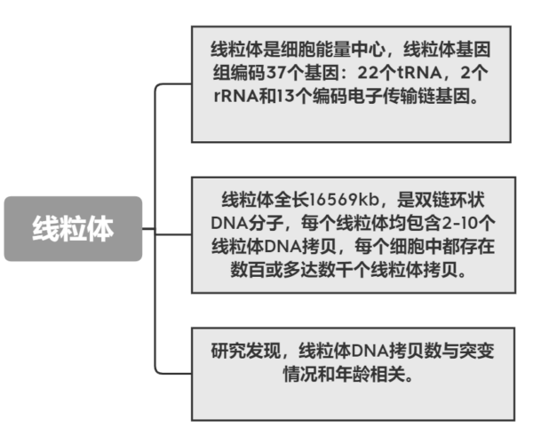 线粒体拷贝变异数检测