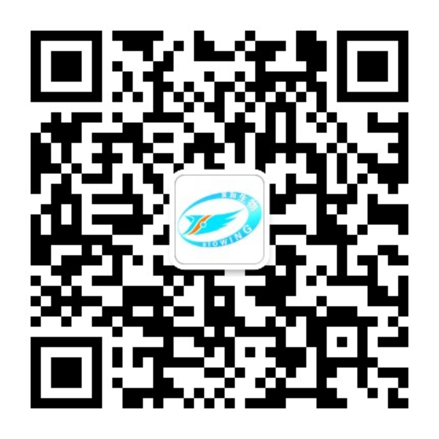 扫码关注