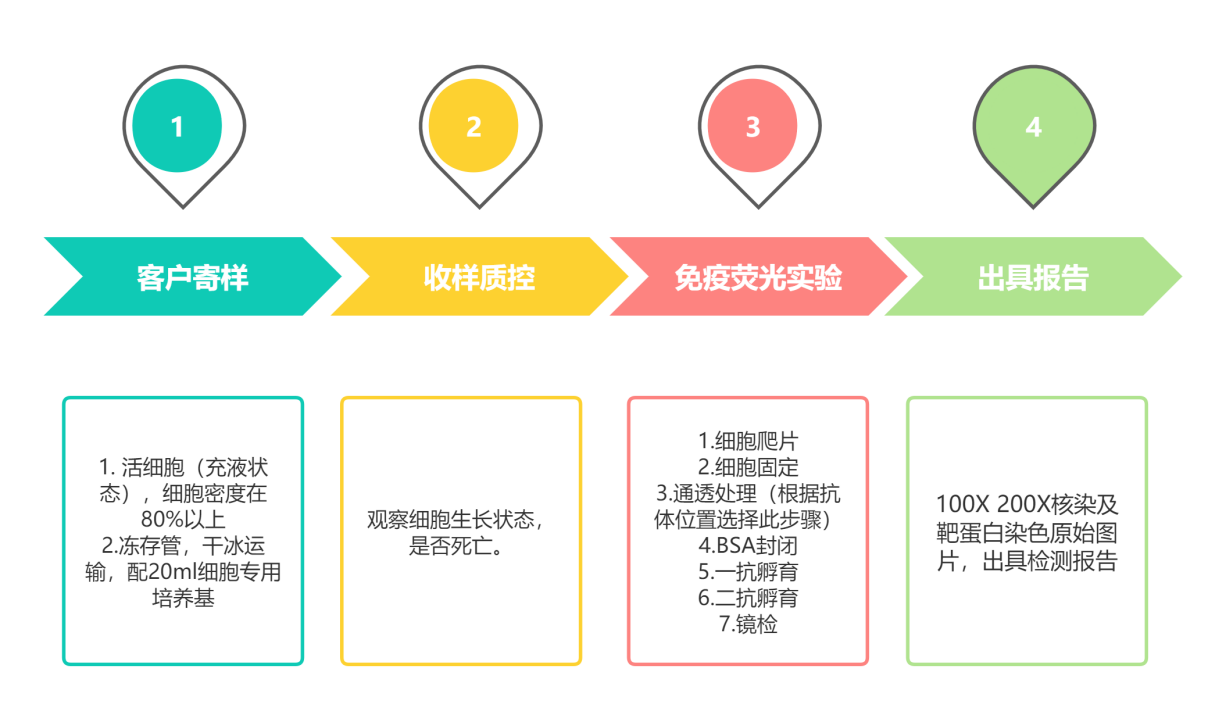 时间轴（横向）