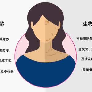 甲基化年龄检测