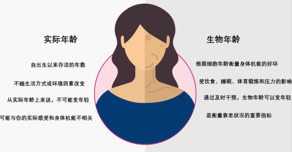 甲基化年龄检测