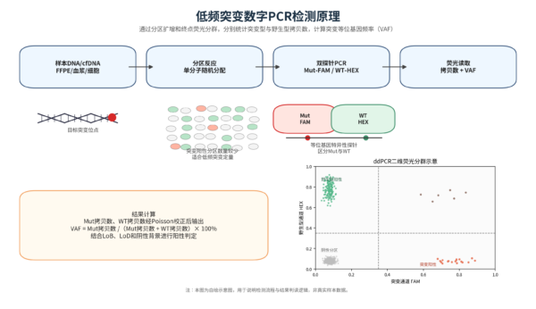 数字PCR低频突变