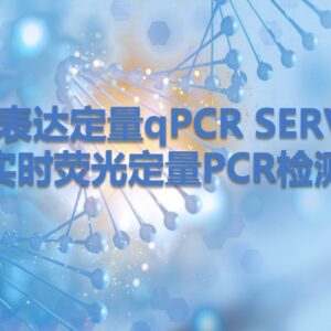 基因表达定量QPCR检测