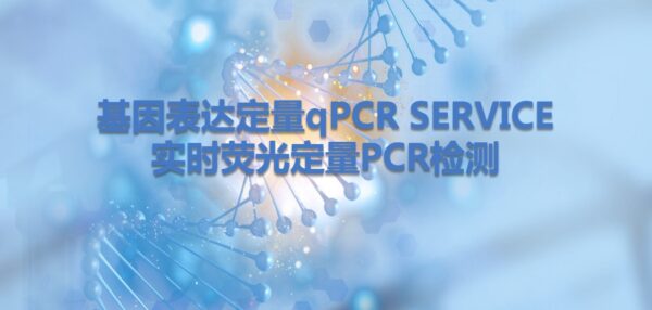 基因表达定量QPCR检测