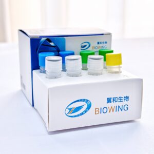 线粒体拷贝数检测试剂盒