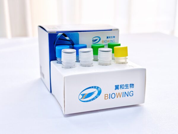 线粒体拷贝数检测试剂盒